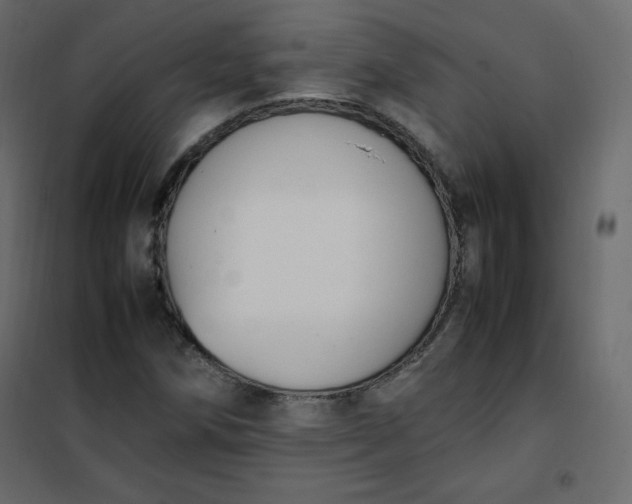 X0000102261258200808081352