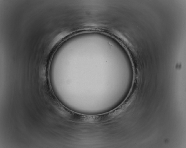 X0000102261259200808081352