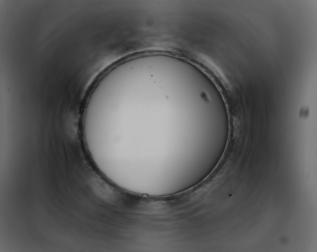 X0000102261260200808081352