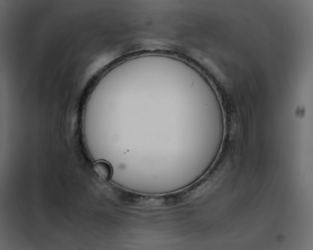 X0000102261261200808081352