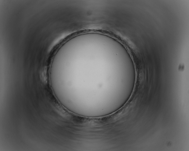 X0000102261262200808081352