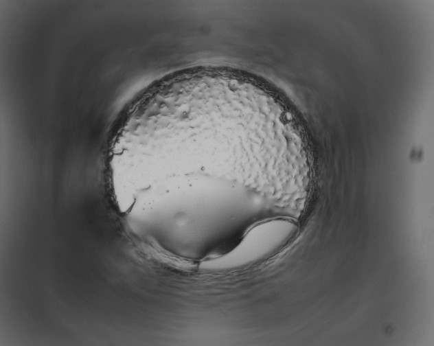 X0000102261263200808081352