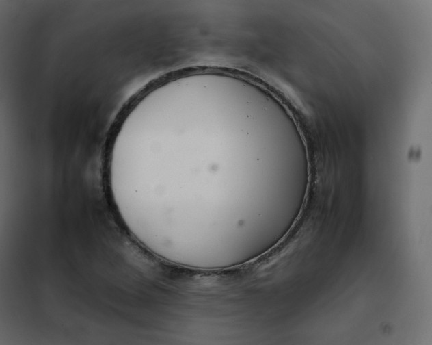 X0000102261264200808081352