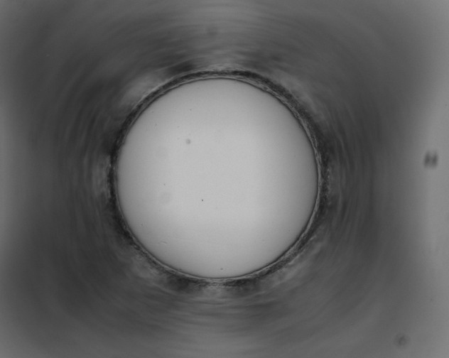 X0000102261265200808081352