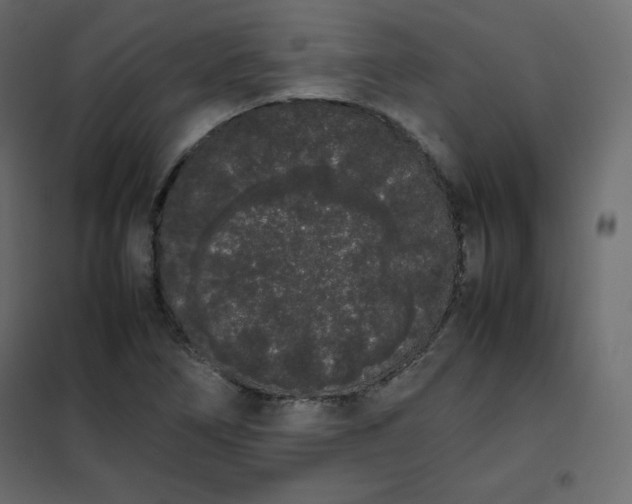 X0000102261266200808081352