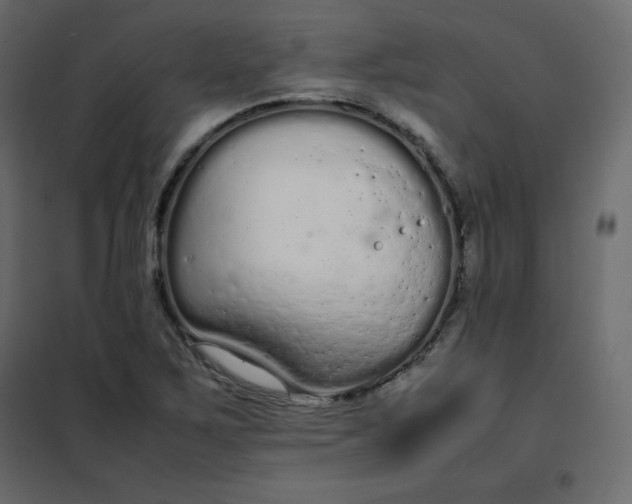 X0000102261267200808081352