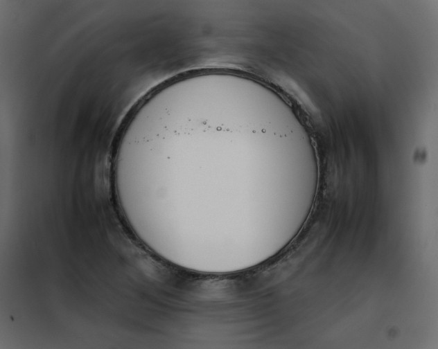 X0000102261268200808081352