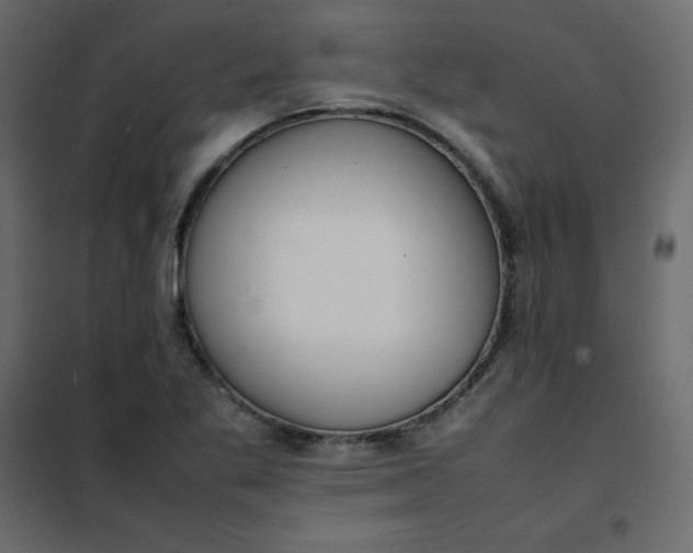 X0000102261269200808081352