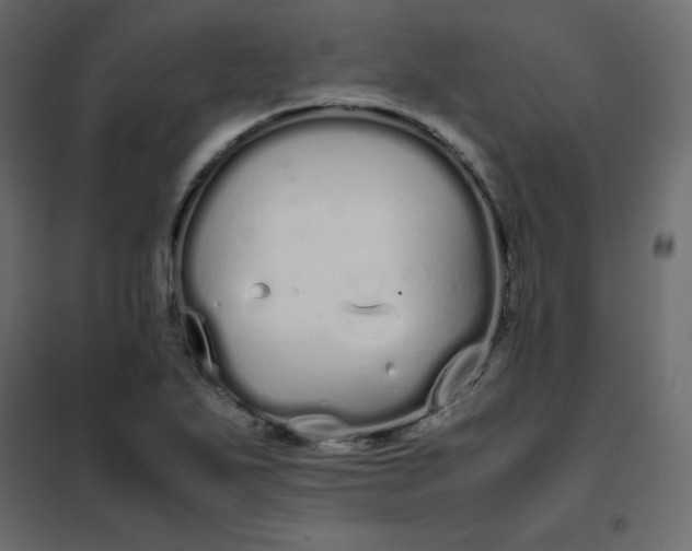 X0000102261271200808081352