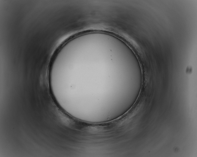 X0000102261272200808081352