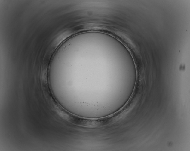 X0000102261273200808081352