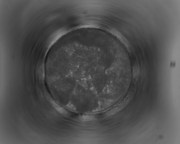 X0000102261274200808081352