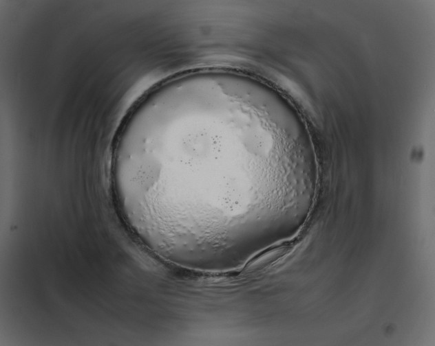 X0000102261275200808081352