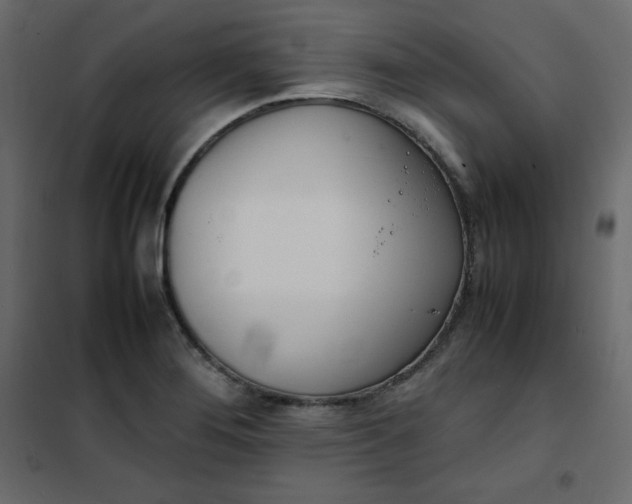 X0000102261276200808081352