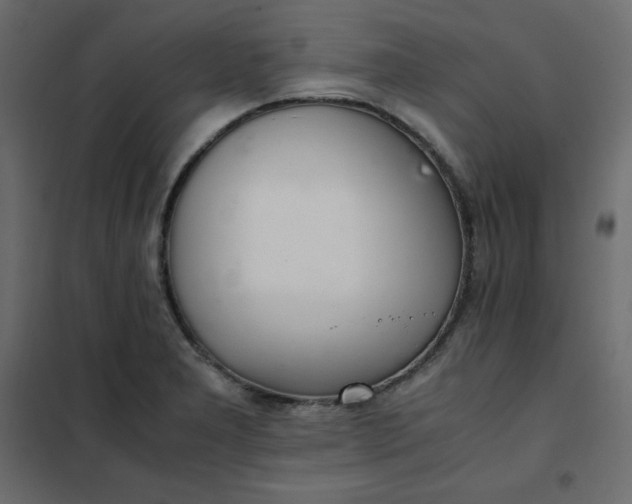 X0000102261277200808081352