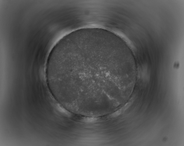 X0000102261278200808081352