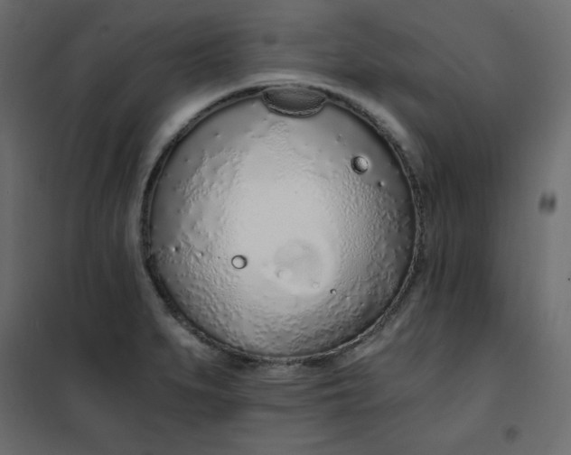 X0000102261279200808081352