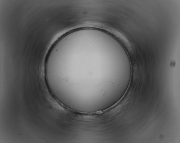 X0000102261280200808081352