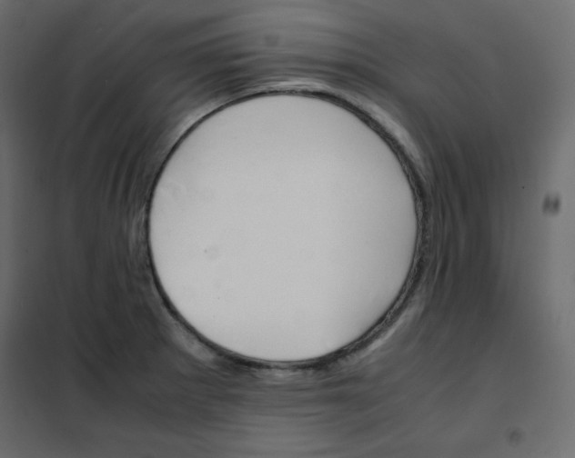 X0000102261281200808081352