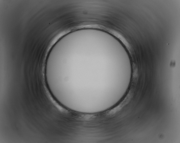 X0000102261282200808081352