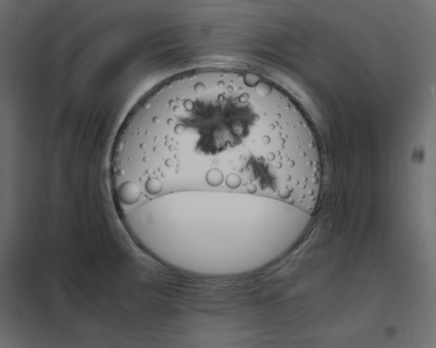 X0000102261283200808081352