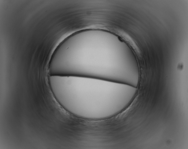 X0000102261284200808081352