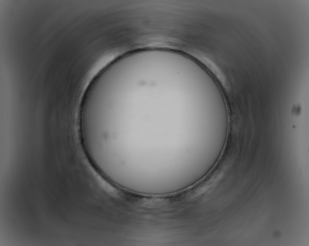 X0000102261285200808081352