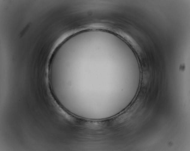 X0000102261286200808081352