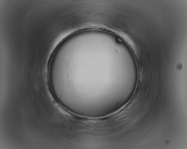 X0000102261287200808081352