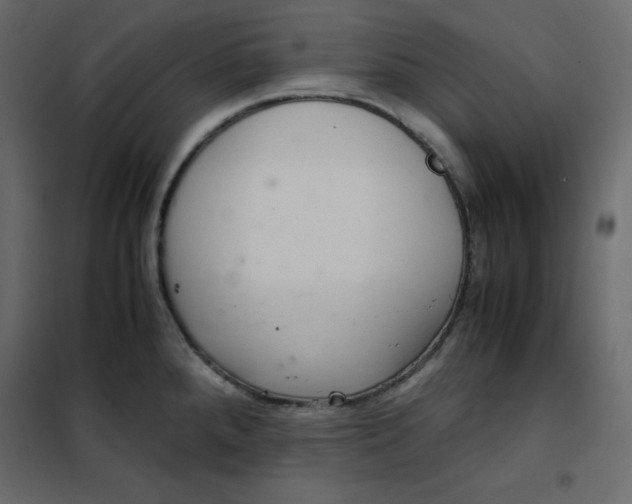 X0000102261288200808081352