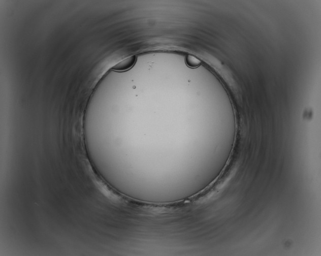 X0000102261289200808081352