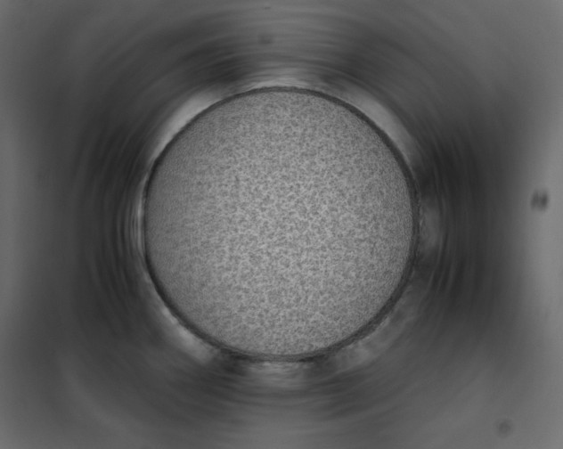 X0000102261290200808081352