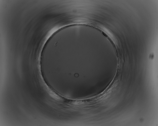 X0000102261291200808081352