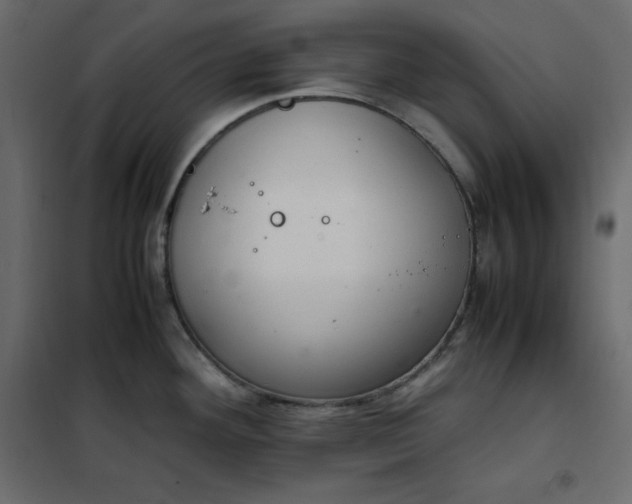 X0000102261292200808081352