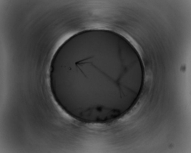 X0000102261293200808081352