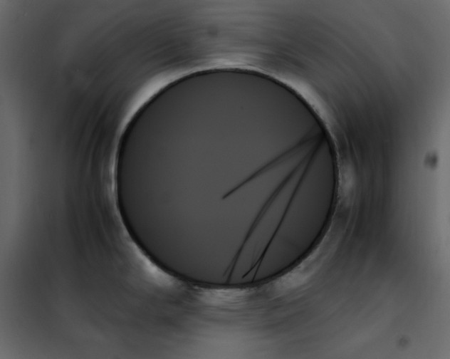 X0000102261294200808081352