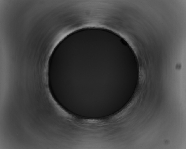 X0000102261295200808081352