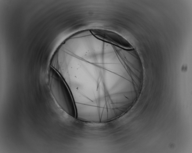 X0000102261296200808081352