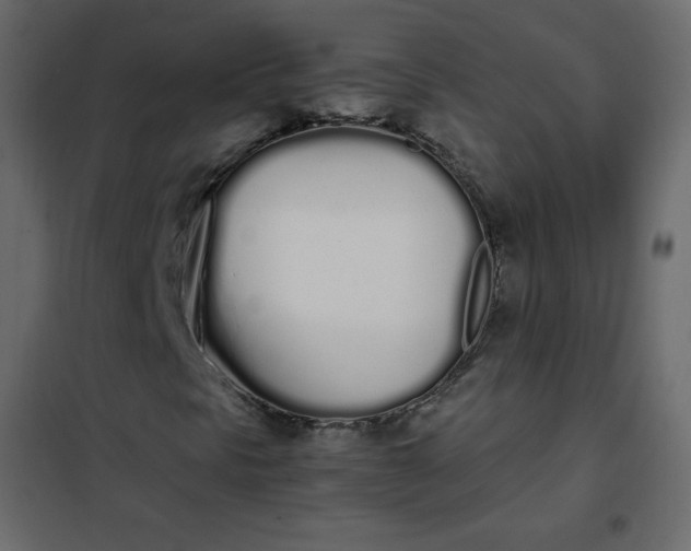 X0000102261297200808081351