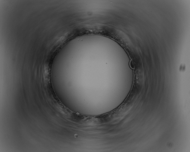 X0000102261298200808081351