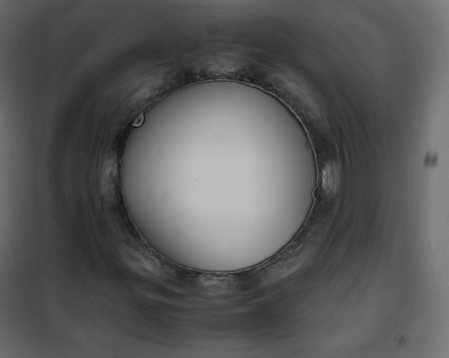 X0000102261299200808081351