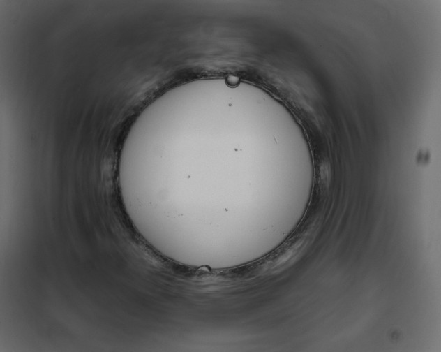 X0000102261300200808081351