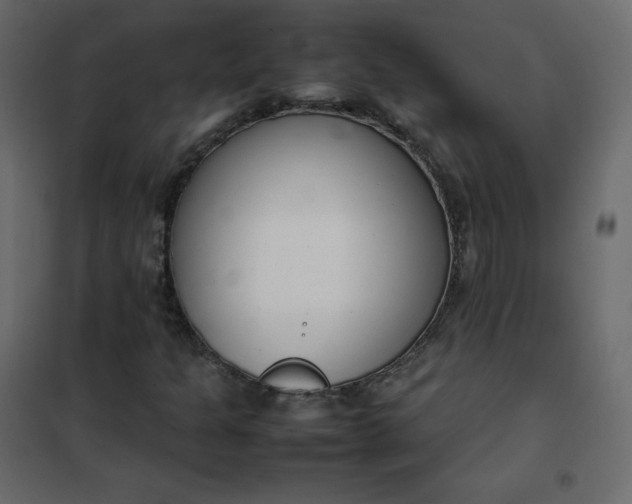 X0000102261301200808081351