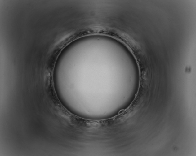 X0000102261302200808081351