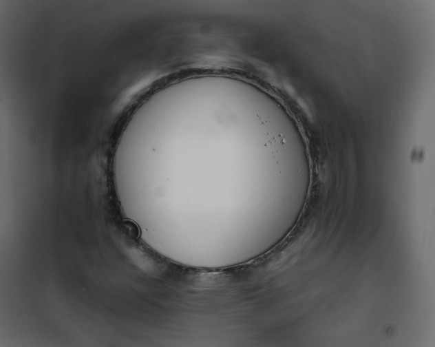 X0000102261304200808081351