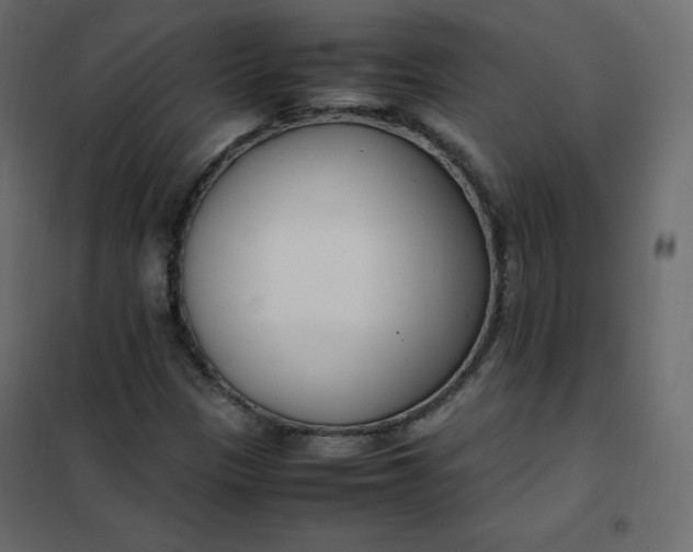 X0000102261305200808081351