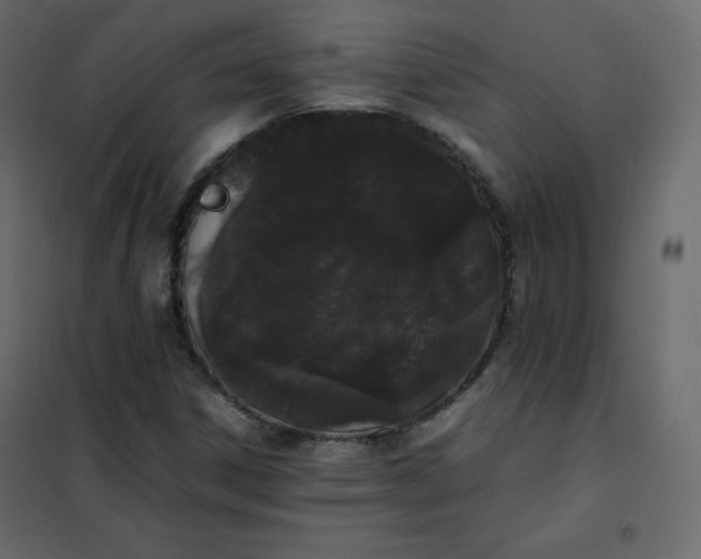 X0000102261306200808081351