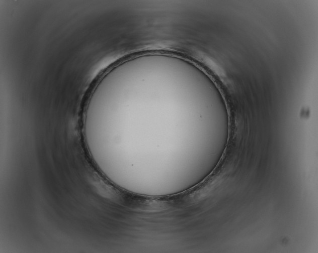 X0000102261308200808081351