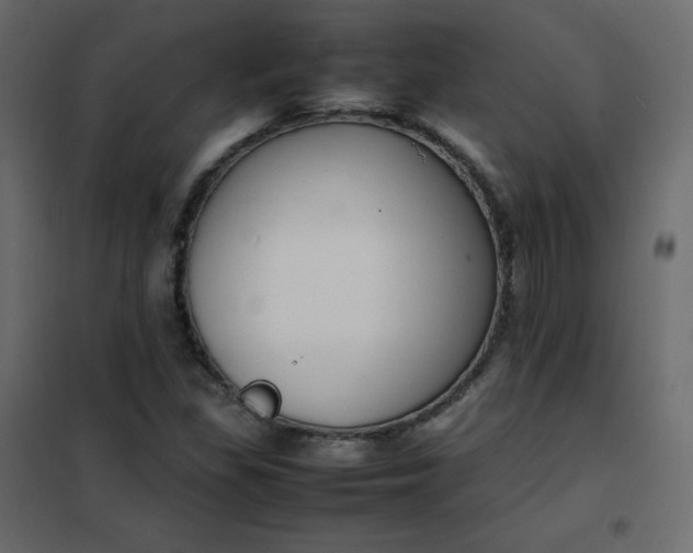 X0000102261309200808081351