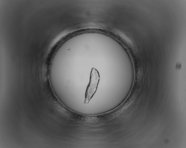 X0000102261310200808081351